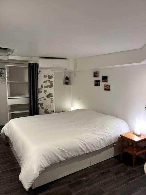 Appartement Climatise Albi - Centre Eksteriør billede