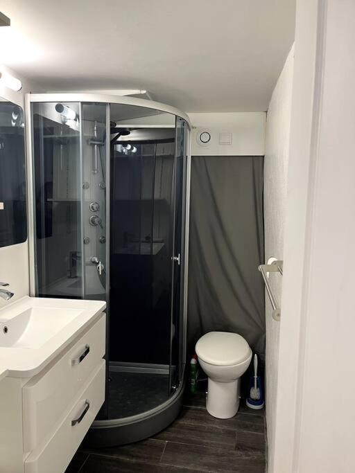 Appartement Climatise Albi - Centre Eksteriør billede